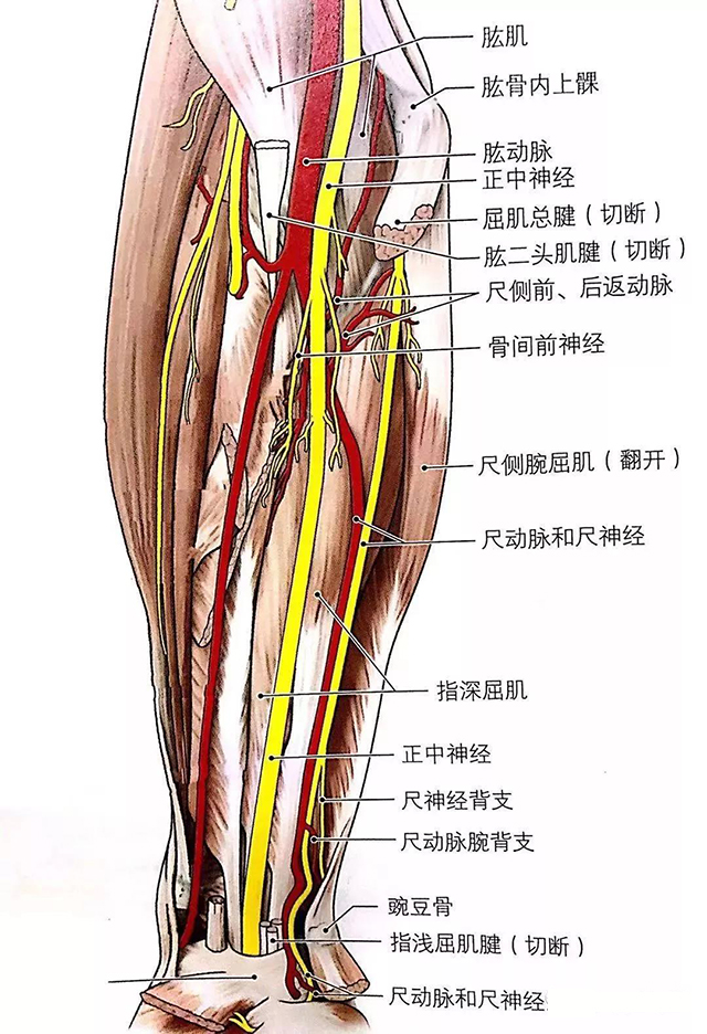 微信图片_20200103161033.jpg