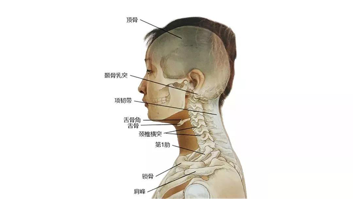 微信图片_20200107091208.jpg