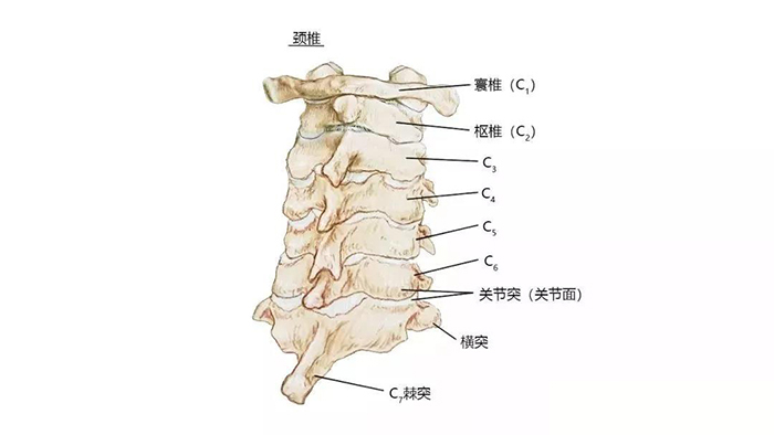 微信图片_20200107091213.jpg