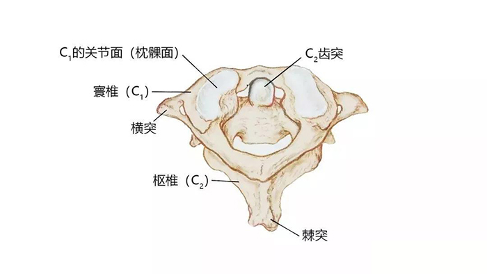 微信图片_20200107091215.jpg