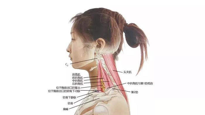 微信图片_20200107091230.jpg