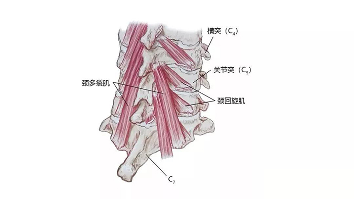微信图片_20200107091238.jpg