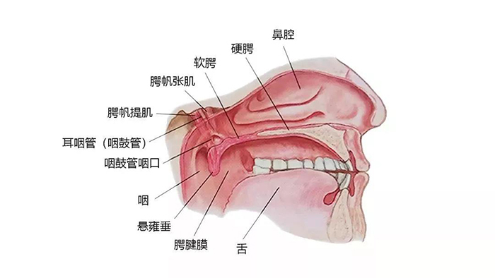 微信图片_20200107091242.jpg