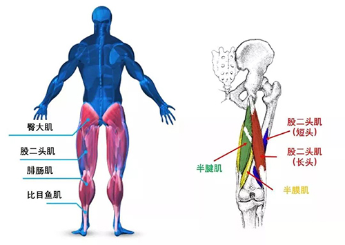 微信图片_20200108163237.jpg