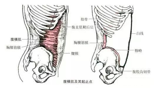 微信图片_20200108163252.jpg