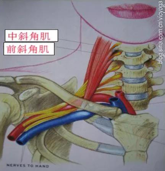 微信图片_20200110153442.jpg