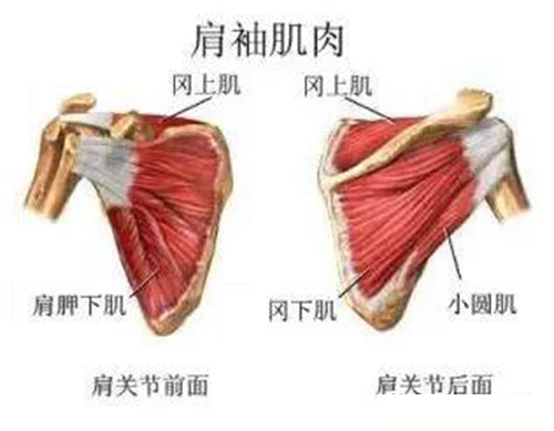 微信图片_20200115102925.jpg